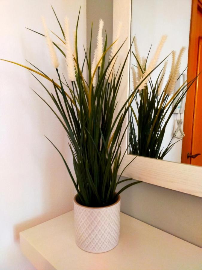 Apartament Geminis Wifi Parking Free Tossa de Mar Exterior photo